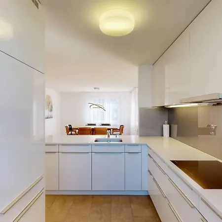 Fantastic Penthouse Near - Mainau 14