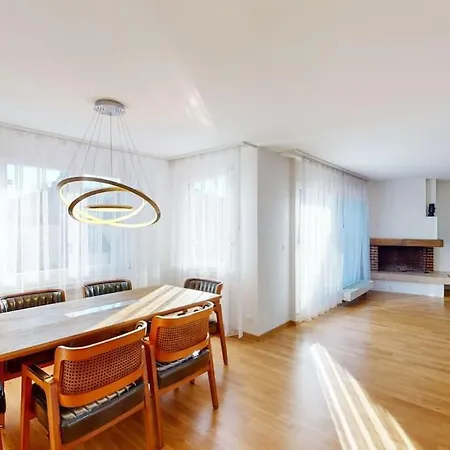 公寓 Fantastic Penthouse Near - Mainau 14